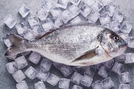 Foto - Eylül ayında tüketilmesi gereken balıklar! 10 balık vücudu yeniden doğmuş gibi yapıyor! Balık sezonu başladı