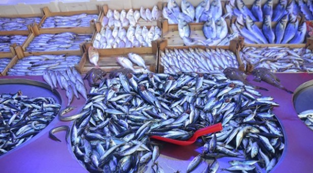 Foto - Eylül ayında tüketilmesi gereken balıklar! 10 balık vücudu yeniden doğmuş gibi yapıyor! Balık sezonu başladı