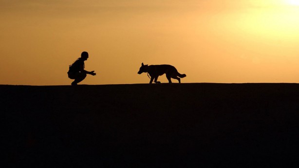 Foto - Ezan okunurken köpekler bakın neden havlarmış! Tüyleri ürperten sözler: Onları görüyorlar