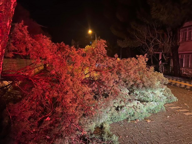 Foto - Ezine’de fırtına nedeniyle ağaç devrildi, kapanan yol belediye ekiplerince açıldı