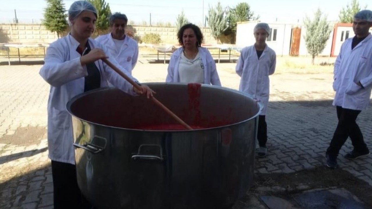 Foto - Fabrika gibi okul! Bir avuç tohumla başlayıp kazanç kapısı açtılar