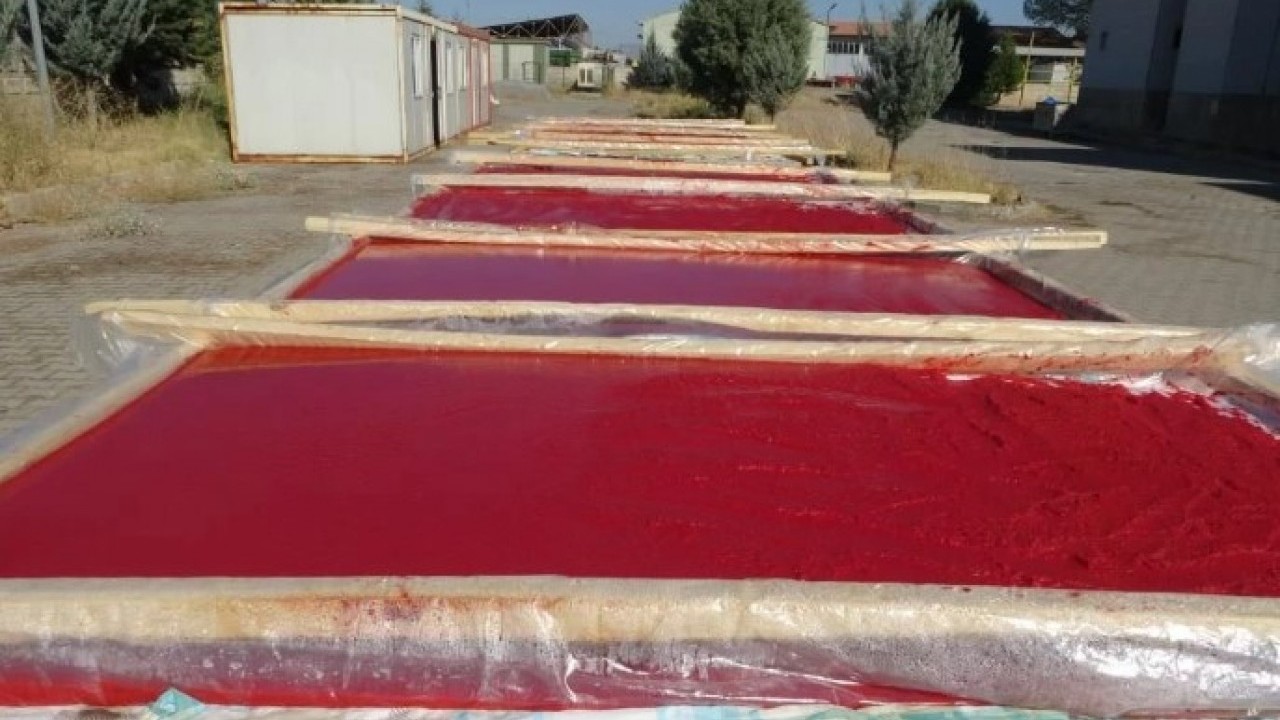 Foto - Fabrika gibi okul! Bir avuç tohumla başlayıp kazanç kapısı açtılar