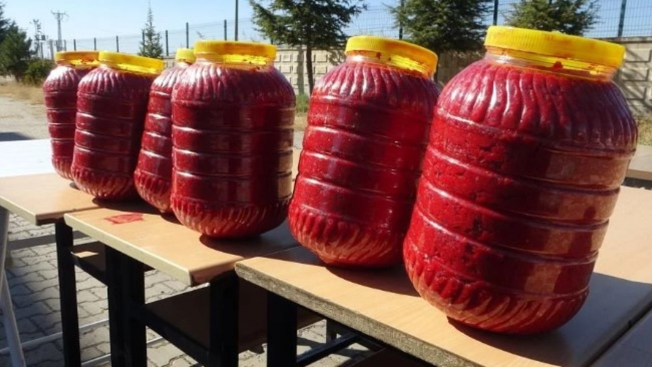 Foto - Fabrika gibi okul! Bir avuç tohumla başlayıp kazanç kapısı açtılar