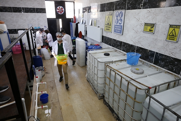 Foto - Fabrika gibi okul! Cirosu 1 milyon lirayı aştı