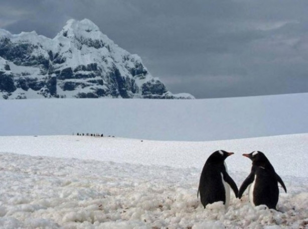 Foto - Facebook'ta en çok paylaşılan ‘o anlar'