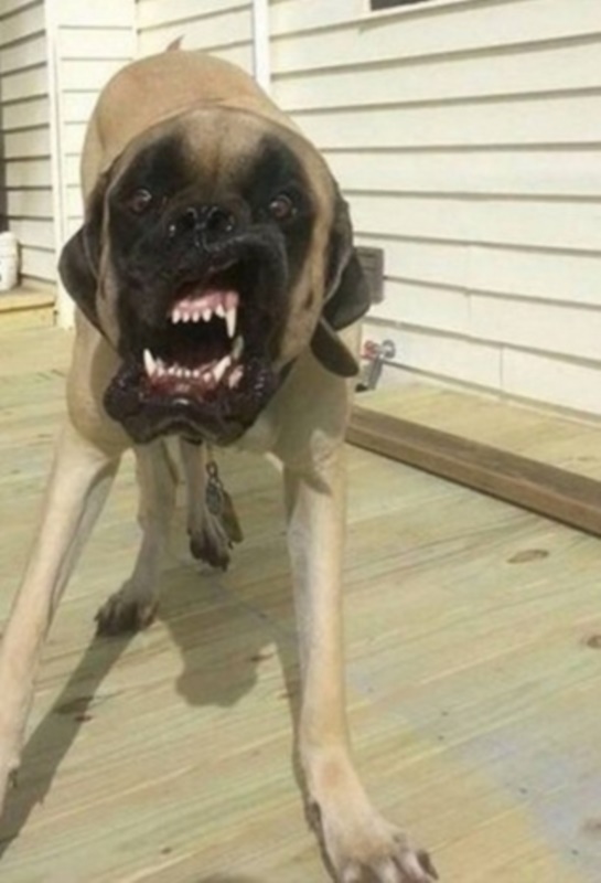 Foto - Facebook'ta en çok paylaşılan ‘o anlar'