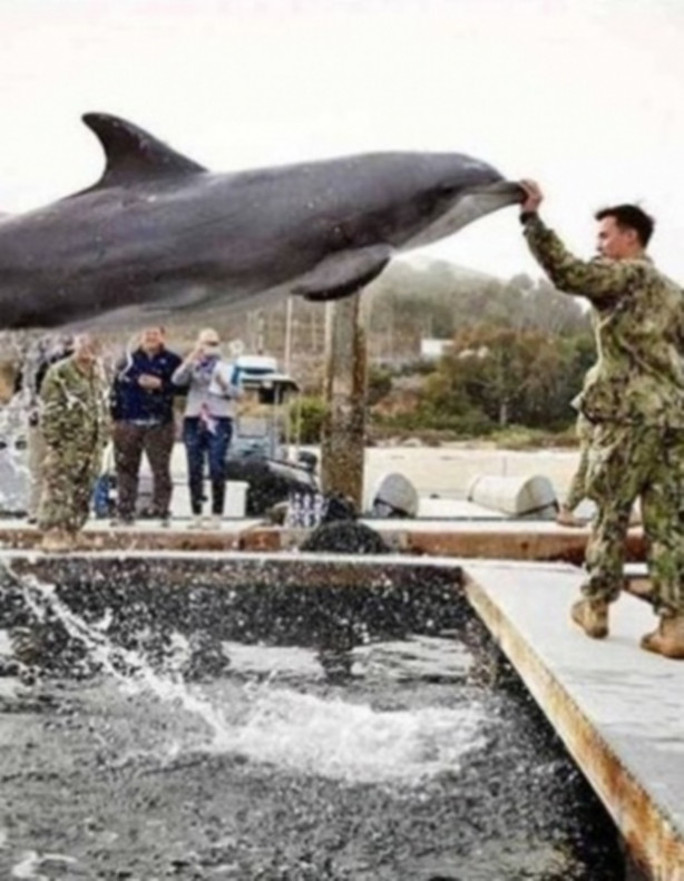 Foto - Facebook'ta en çok paylaşılan ‘o anlar'