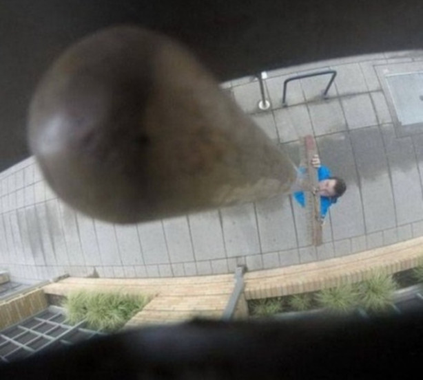 Foto - Facebook'ta en çok paylaşılan ‘o anlar'