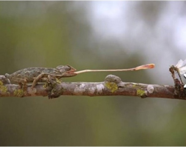 Foto - Facebook'ta en çok paylaşılan ‘o anlar'