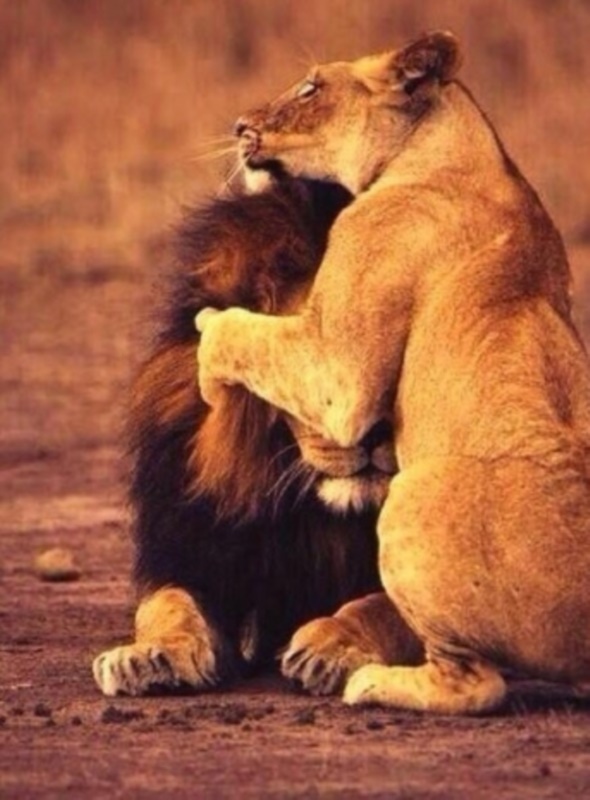 Facebook'ta en çok paylaşılan ‘o anlar'