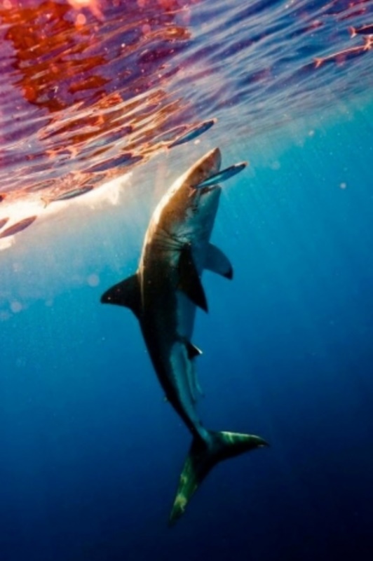 Foto - Facebook'ta en çok paylaşılan ‘o anlar'