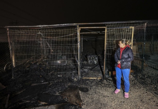 Foto - Facia son anda önlendi! Onlarca köpek cayır cayır yanacaktı