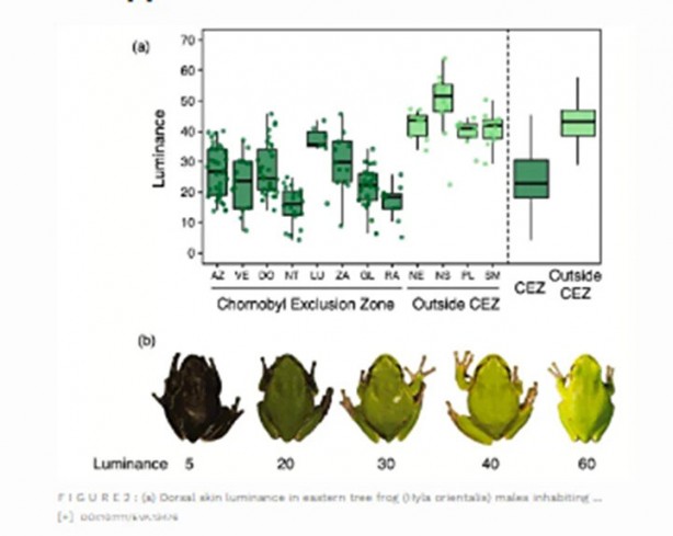 Foto - Faciadan 36 yıl sonra! Hayvanlar siyah renkte doğmaya başladı