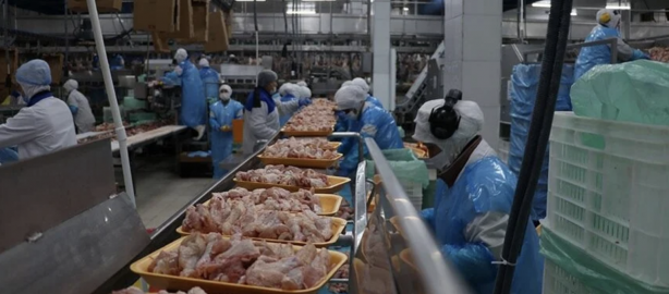 Foto - Fahiş fiyatlar sonrası Ticaret Bakanlığı harekete geçti! Tavuk eti ihracatı sınırlandı!