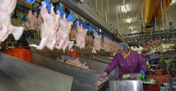Foto - Fahiş fiyatlar sonrası Ticaret Bakanlığı harekete geçti! Tavuk eti ihracatı sınırlandı!