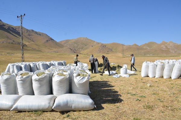 Foto - Faraşin Yaylası'nda kış hazırlıkları başladı