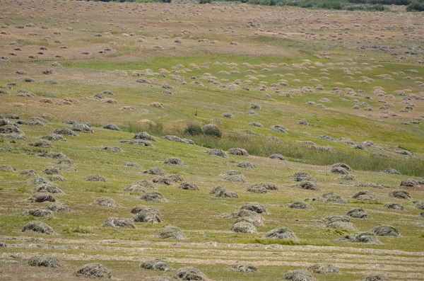 Foto - Faraşin Yaylası'nda kış hazırlıkları başladı