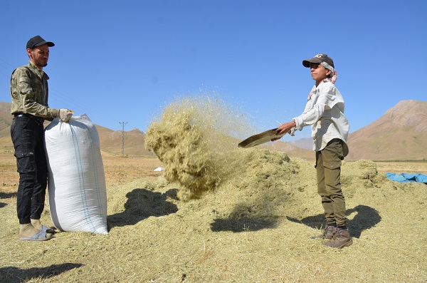Foto - Faraşin Yaylası'nda kış hazırlıkları başladı