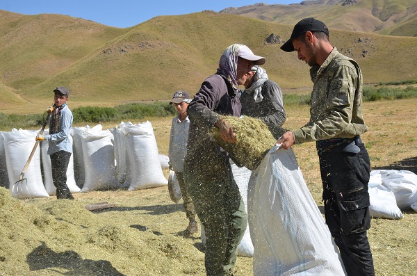 Foto - Faraşin Yaylası'nda kış hazırlıkları başladı