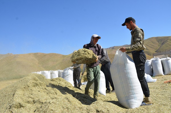 Foto - Faraşin Yaylası'nda kış hazırlıkları başladı