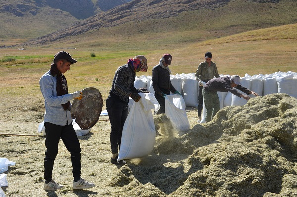Foto - Faraşin Yaylası'nda kış hazırlıkları başladı