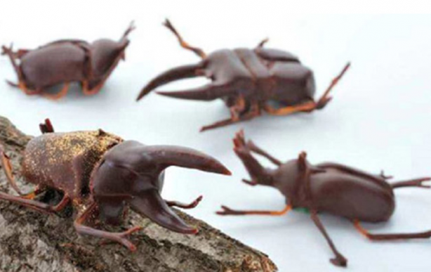 Foto - Farkında değiliz ama hepimiz bunları yiyoruz!