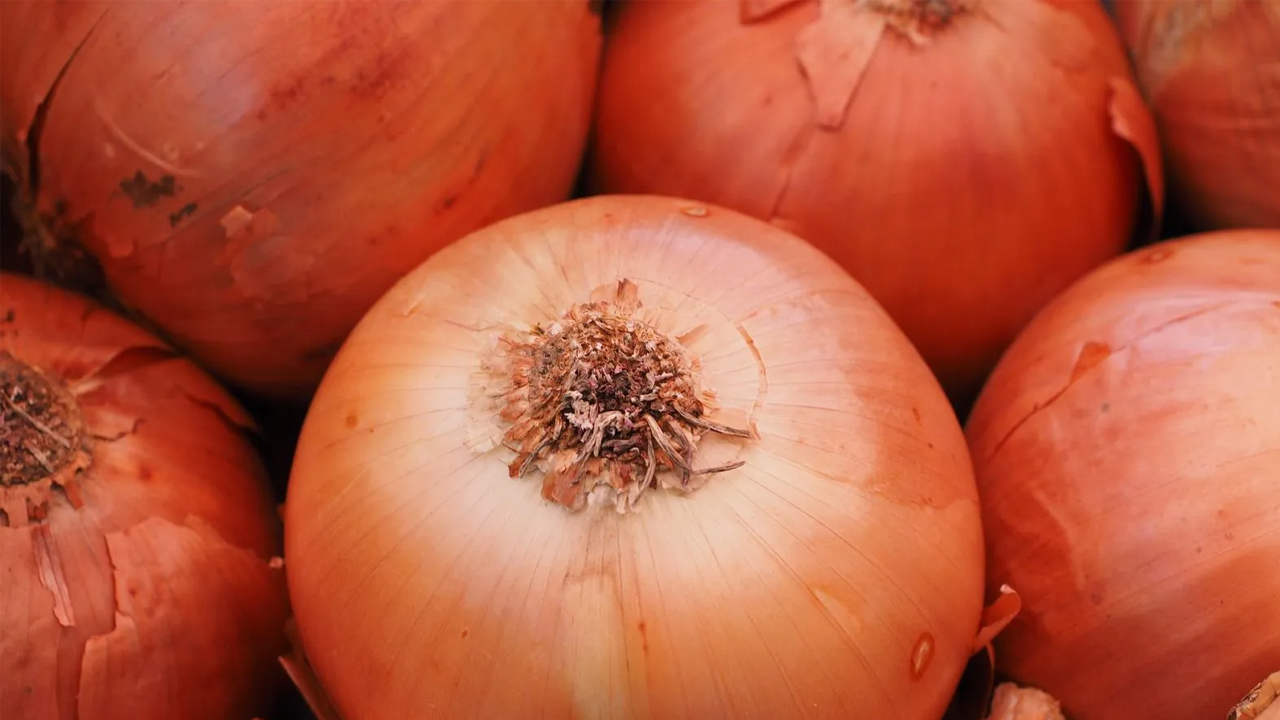 Foto - Farkında olmadan hasta olabilirsiniz! Soğanları yıkamadan yiyenler dikkat