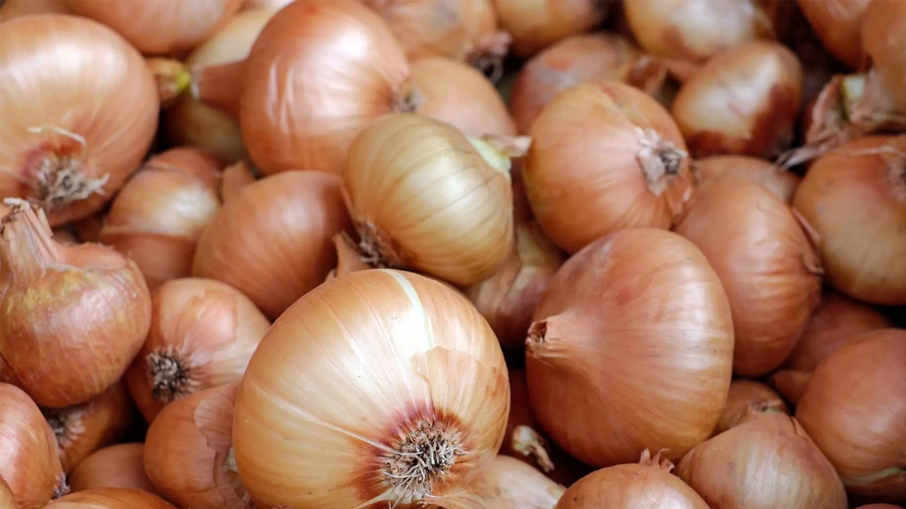 Farkında olmadan hasta olabilirsiniz! Soğanları yıkamadan yiyenler dikkat