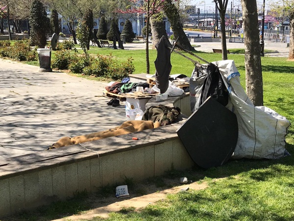 Foto - Fatih'in Torunları Derneğinden sokakta kalanlara destek