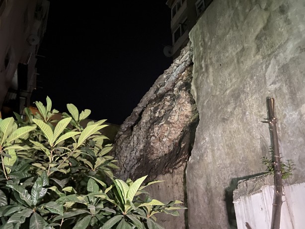 Foto - Fatih’te binaların arasında kalan tarihi yapının istinat duvarı çöktü