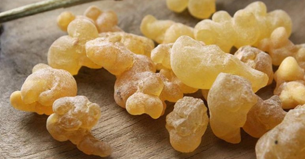 Foto - Faydaları saymakla bitmeyen bitki: Binbir derde deva, ağrıları azaltmada etkili! Neye iyi gelir?