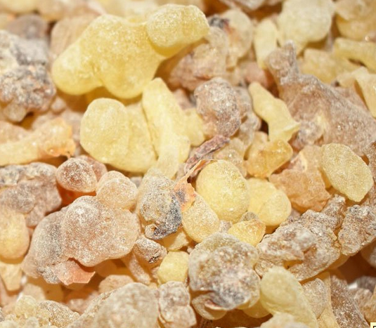 Faydaları saymakla bitmeyen bitki: Binbir derde deva, ağrıları azaltmada etkili! Neye iyi gelir?