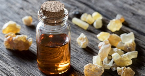 Foto - Faydaları saymakla bitmeyen bitki: Binbir derde deva, ağrıları azaltmada etkili! Neye iyi gelir?