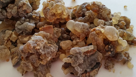 Foto - Faydaları saymakla bitmeyen bitki: Binbir derde deva, ağrıları azaltmada etkili! Neye iyi gelir?