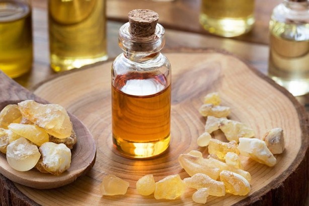 Foto - Faydaları saymakla bitmeyen bitki: Çam yağı! Meğer öyle bir faydası varmış ki, şu an duyan büyük şok geçirebilir