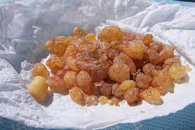 Foto - Faydaları saymakla bitmeyen bitki: Çam yağı! Meğer öyle bir faydası varmış ki, şu an duyan büyük şok geçirebilir