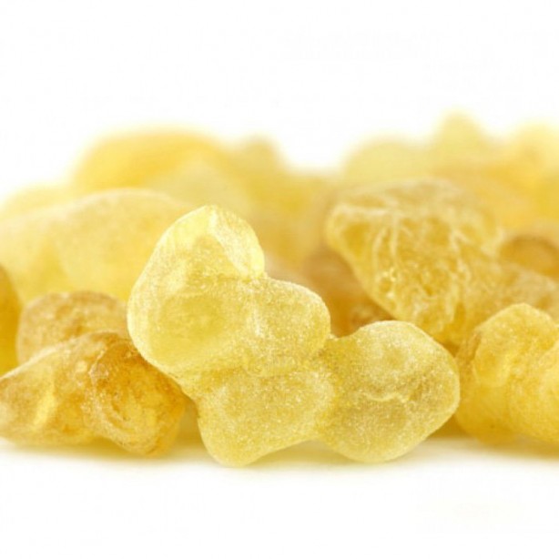 Foto - Faydaları saymakla bitmeyen bitki: Çam yağı! Meğer öyle bir faydası varmış ki, şu an duyan büyük şok geçirebilir