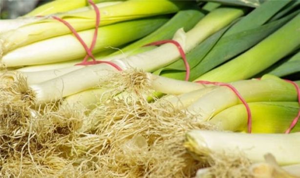 Foto - Faydaları saymakla bitmiyor!