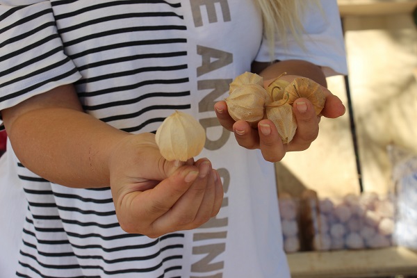 Foto - Faydaları saymakla bitmiyor! 250 gramı 50 TL'ye satılıyor