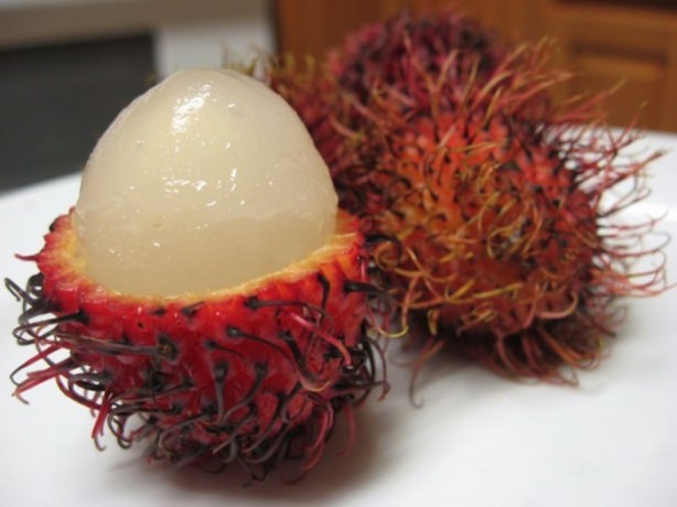 Foto - Faydaları saymakla bitmiyor!