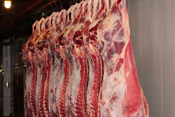 Foto - Faydaları saymakla bitmiyor! Bu ürünler adeta şifa deposu