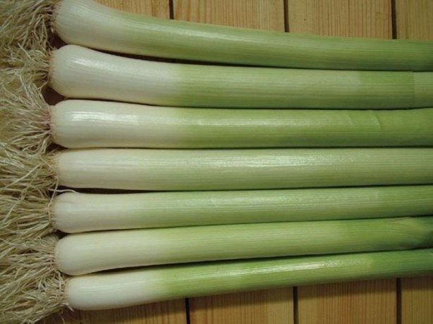 Foto - Faydaları saymakla bitmiyor!