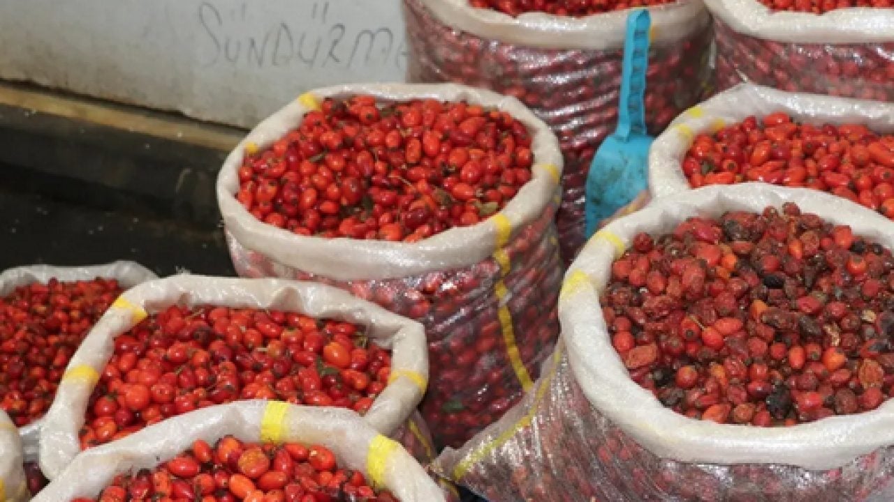 Foto - Faydaları saymakla bitmiyor: Kendiliğinden yetişiyor, Anadolu'da kovalarla toplanıyor! 