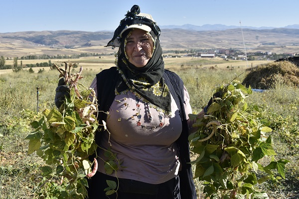 Foto - Faydaları saymakla bitmiyor! Kilosu tam 200 lira