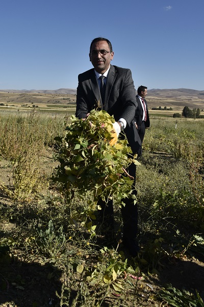 Foto - Faydaları saymakla bitmiyor! Kilosu tam 200 lira