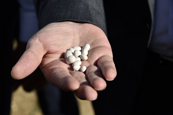 Faydaları saymakla bitmiyor! Kilosu tam 200 lira