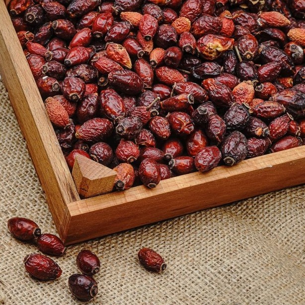 Foto - Faydaları saymakla bitmiyor! Kuşburnu bakın nelere iyi geliyor