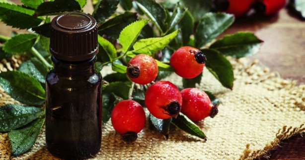 Foto - Faydaları saymakla bitmiyor! Kuşburnu bakın nelere iyi geliyor