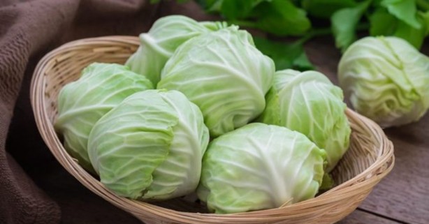 Foto - Faydaları saymakla bitmiyor! Ruh sağlığına bile iyi geliyor