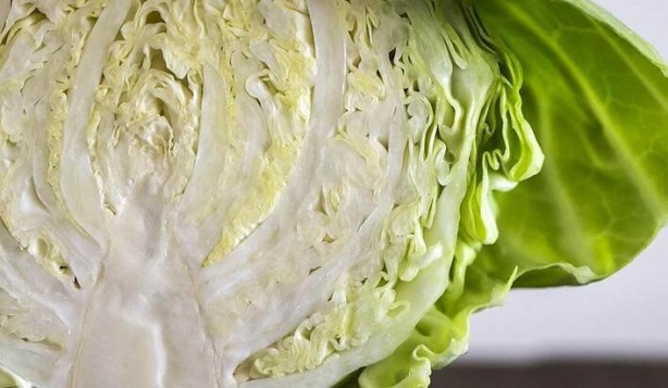 Foto - Faydaları saymakla bitmiyor! Ruh sağlığına bile iyi geliyor